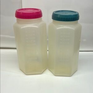 Set of Two Plastic Storage Containers with Pink and Teal Lids (4 Qt each)